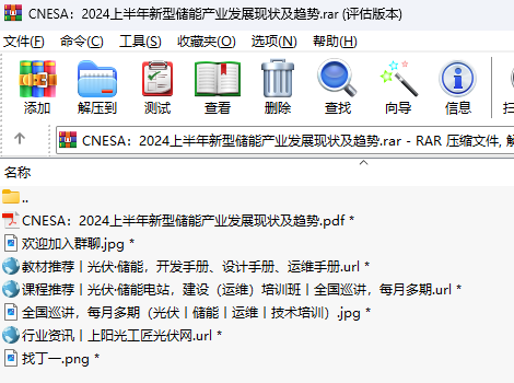 CNESA2024ϰʹܲҵչ״1.png